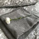 Apartamento Bastion Gdanski